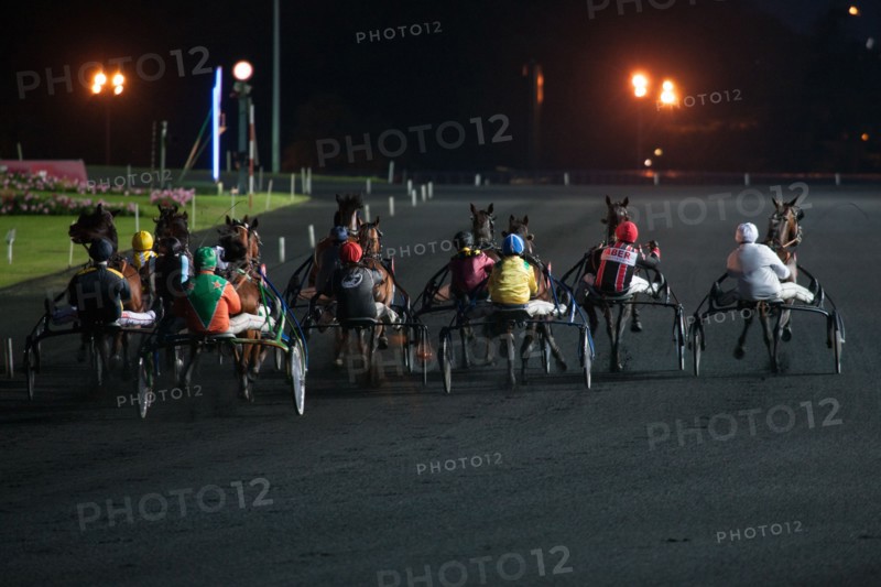 France, Ile de France, Val-de-Marne, Boissy-Saint-Leger, centre d'entrainement de Grosbois, chateau, trot, courses hippiques,