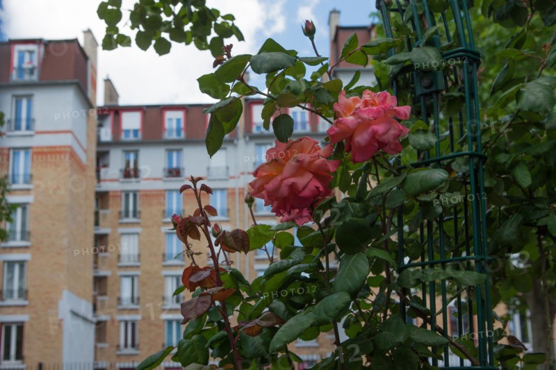 France, Ile de France, Hauts-de-Seine, ville de Clichy-la-Garenne, rue Simonneau, cite HBM (Habitat Bon Marche), habitat social,
Mention obligatoire : CRT PIdF