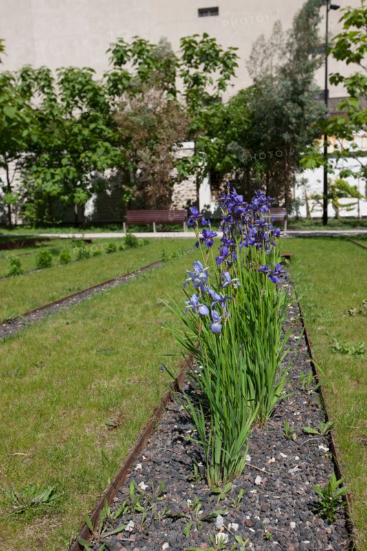 France, Ile de France, Hauts-de-Seine, ville de Clichy-la-Garenne, rue des Cailloux, parc Marcel Bich,
Mention obligatoire : CRT PIdF