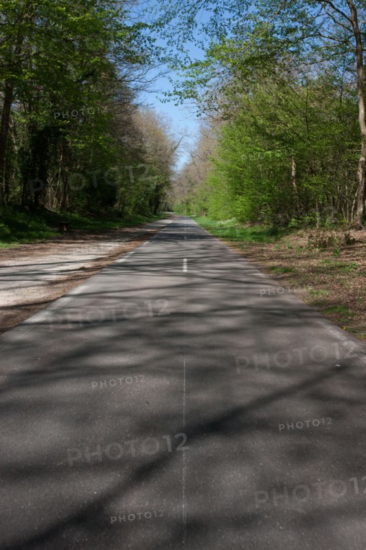 France, Ile de France, Essonne, Milly-la-Foret, foret de Milly
Mention obligatoire : CRT PIdF