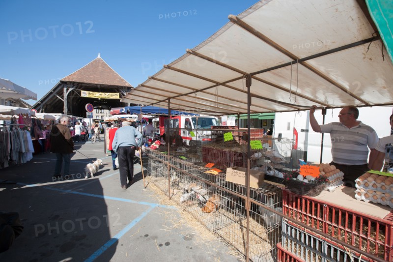 France, Ile de France, Essonne, Milly-la-Foret, halles du marche,
Copyright notice: CRT PIdF