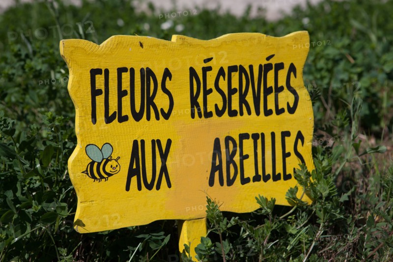 France, Ile de France, Essonne, Milly-la-Foret, office du tourisme, maison du Parc naturel Regional du Gatinais,
Copyright notice: CRT PIdF