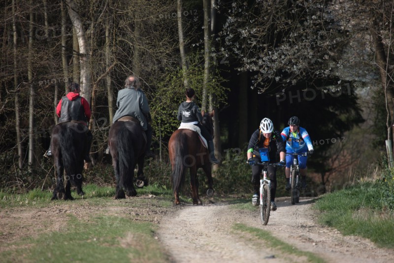 France, Haute Normandie, Seine Maritime, Abbaye du Valasse, journee des sports, randonnee, equitation, attelage et vtt, 30 mars 2014,