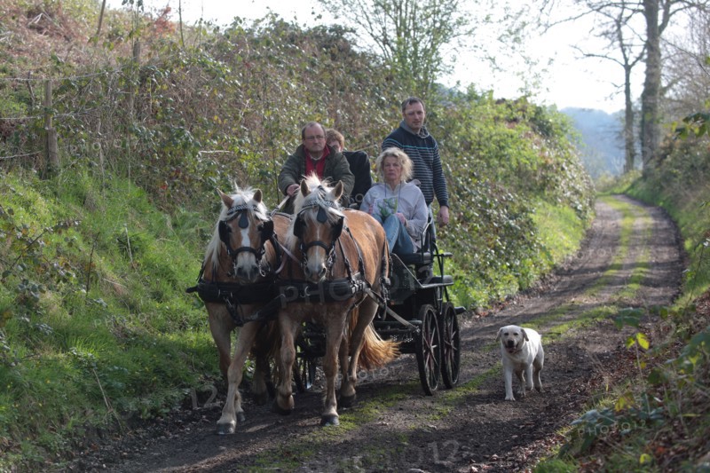 France, Haute Normandie, Seine Maritime, Abbaye du Valasse, journee des sports, randonnee, equitation, attelage et vtt, 30 mars 2014,