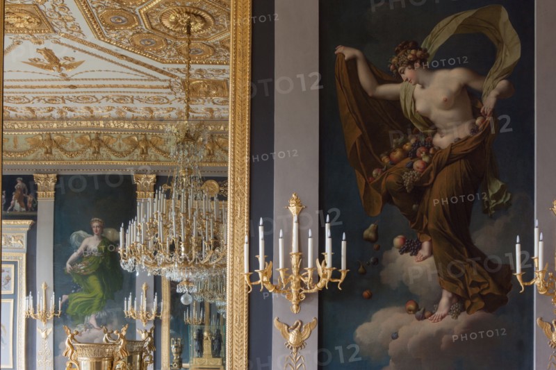France, Ile de France, Paris 7e arrondissement, 78 rue de Lille, Hotel de Beauharnais, residence de l'ambassadeur d'Allemagne, hotel particulier, salon des quatre saisons,