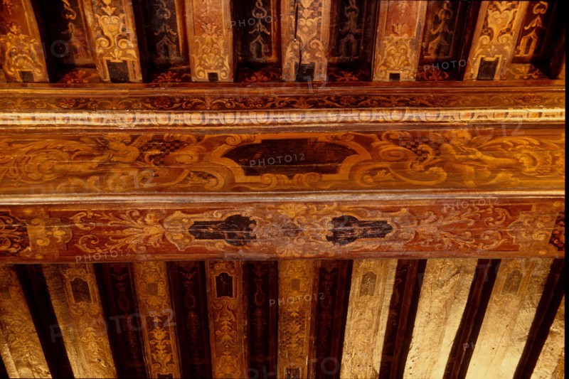 France, Ile de France, Paris 5e arrondissement, 47 quai des Tournelles, Hotel Miramion, ancien musee de la Medecine, desormais propriete privee, detail du plafond peint,