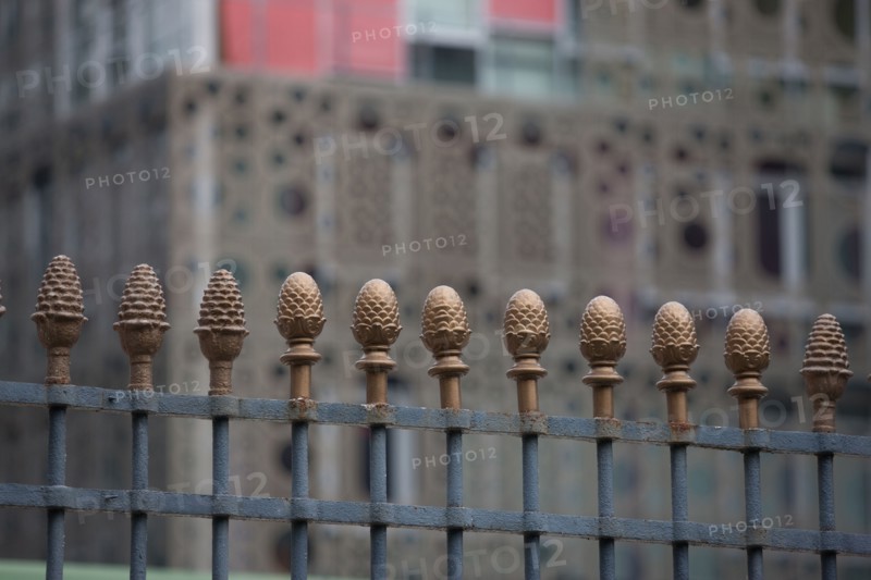 France, Ile de France, Paris 5e arrondissement, quai Saint-Bernard, detail de la grille de l'ancienne halle aux vins, pomme de pin, symbole des marchands de vin,