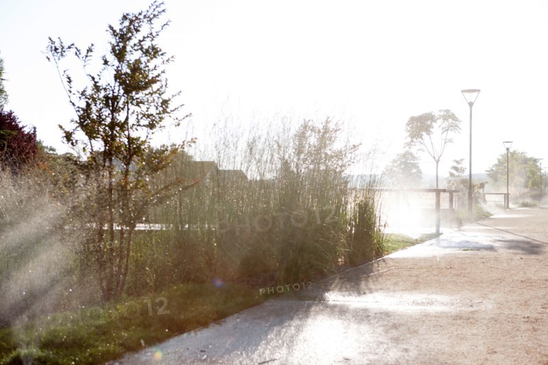 France, région Pays de la Loire, Loire Atlantique, Pornic, ria de Pornic, jardin paysagé.