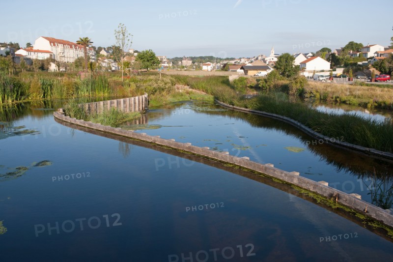 France, région Pays de la Loire, Loire Atlantique, Pornic, ria de Pornic, jardin paysagé.