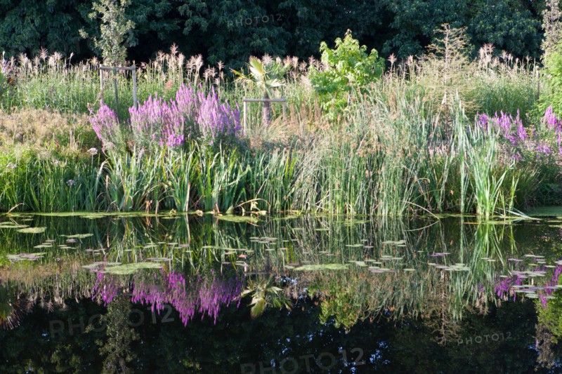 France, région Pays de la Loire, Loire Atlantique, Pornic, ria de Pornic, jardin paysagé.