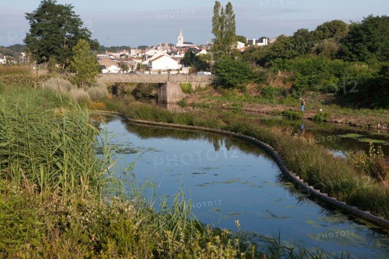 France, région Pays de la Loire, Loire Atlantique, Pornic, ria de Pornic, jardin paysagé.