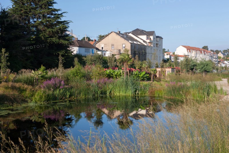 France, région Pays de la Loire, Loire Atlantique, Pornic, ria de Pornic, jardin paysagé.