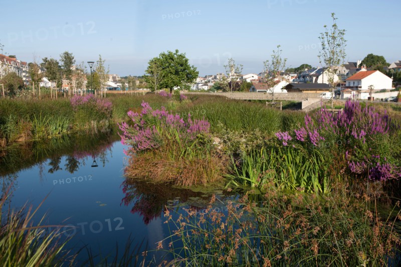 France, région Pays de la Loire, Loire Atlantique, Pornic, ria de Pornic, jardin paysagé.