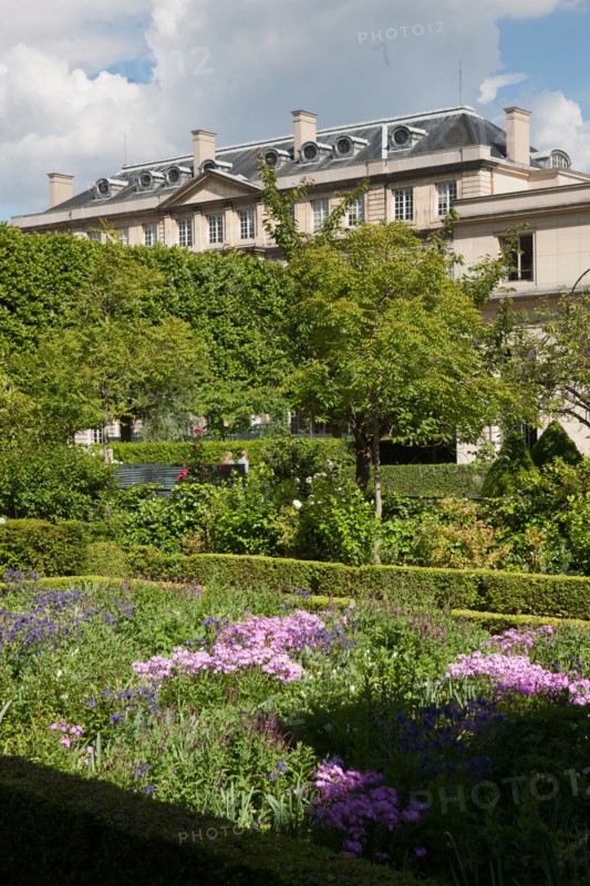 France, Région Ile de France, Paris 3e arrondissement, le Marais, jardin de l'Hôtel de Soubise, pelouse partiellement fauchée,
