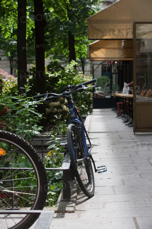 France, Région Ile de France, Paris 4e arrondissement, le Marais, Rue du Trésor, fleurs et terrasses,