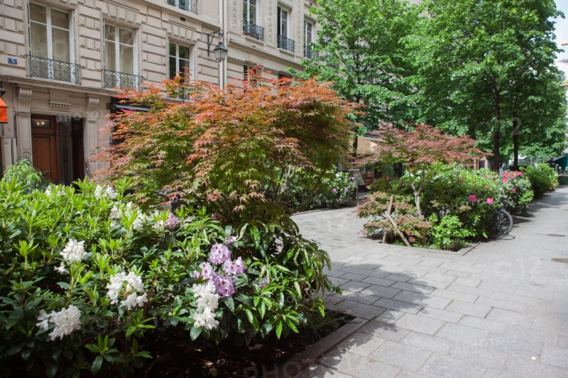 France, Région Ile de France, Paris 4e arrondissement, le Marais, Rue du Trésor, fleurs et terrasses,