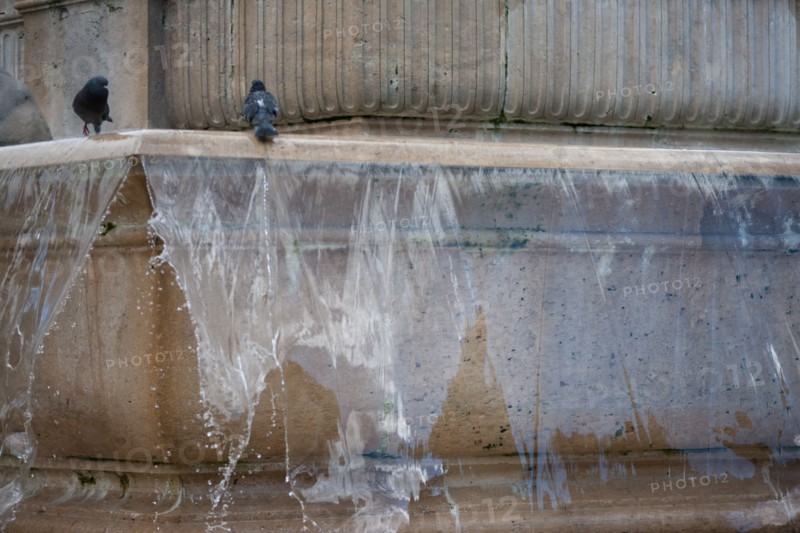 France, Région Ile de France, Paris 6e arrondissement, Rue Servandoni, place Saint Sulpice, détail de l'eau qui coule en voile, fontaine des Points Cardinaux, pigeons,