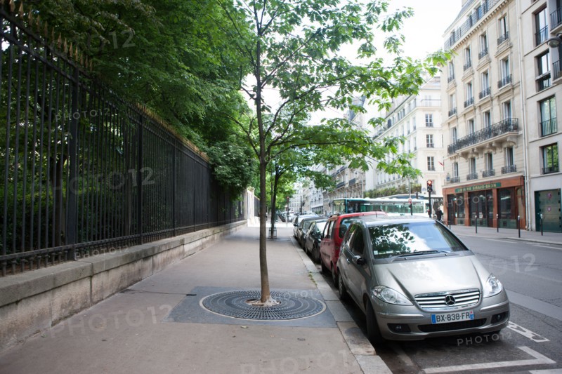 Paris 6e arrondissement,  Jardin du Luxembourg