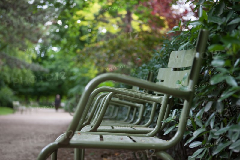 France, Région Ile de France, Paris 6e arrondissement, Jardin du Luxembourg,