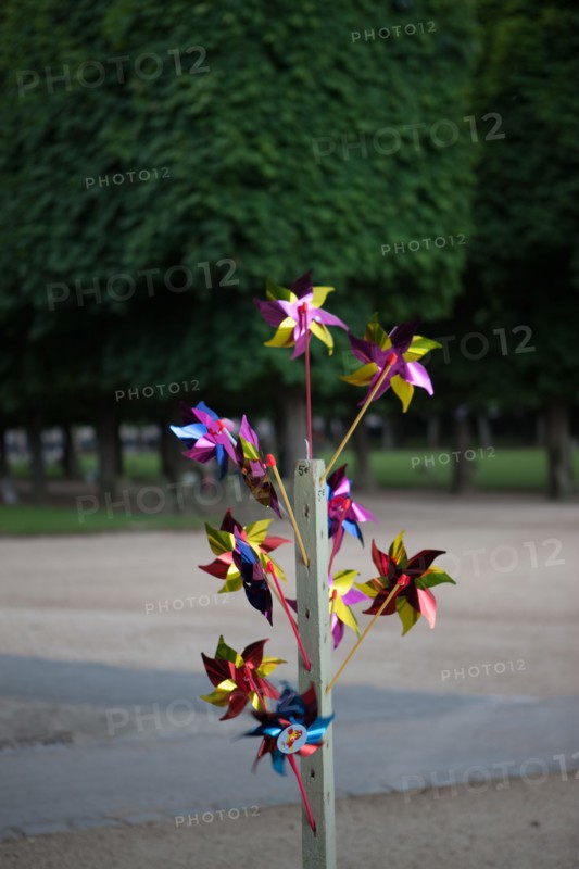 Paris 6e arrondissement,  Jardin du Luxembourg
