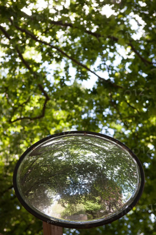 Paris 6e arrondissement,  Jardin du Luxembourg