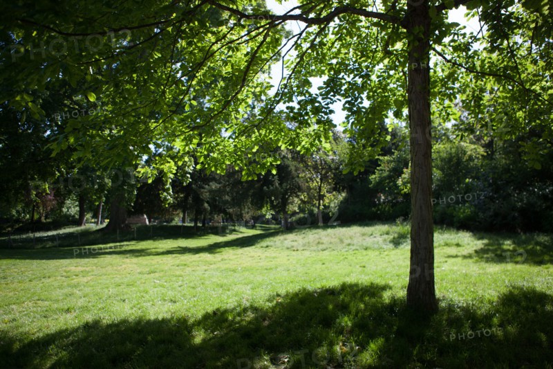 Paris 8e arrondissement,  Parc Monceau