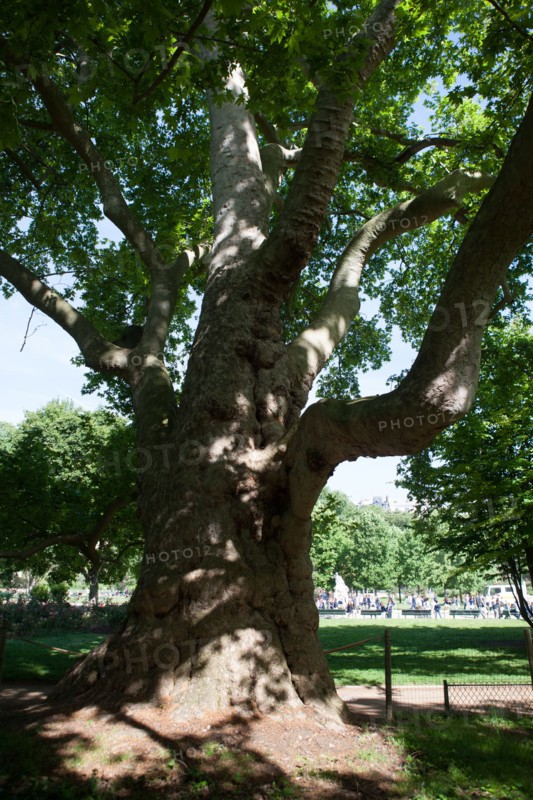 Paris 8e arrondissement,  Parc Monceau