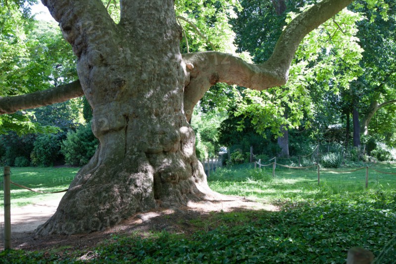 Paris 8e arrondissement,  Parc Monceau