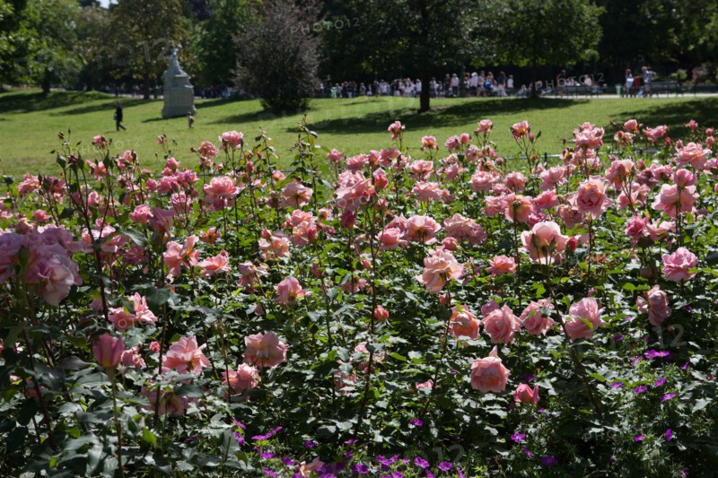Paris 8e arrondissement,  Parc Monceau