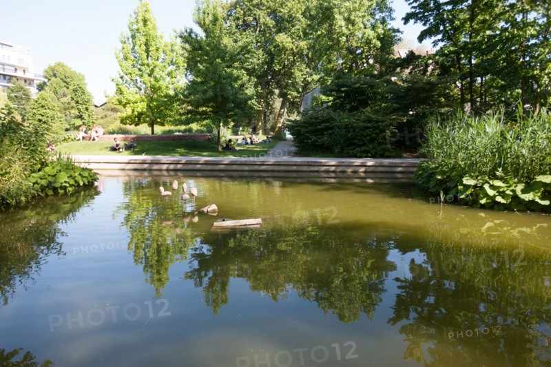 France, Région Ile de France, Paris 12e arrondissement, Parc de Bercy, étang, réserve d'oiseaux,