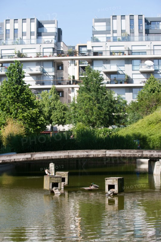 France, Région Ile de France, Paris 12e arrondissement, Parc de Bercy, étang avec canards et tortues,