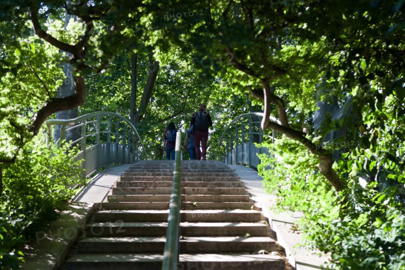 France, Région Ile de France, Paris 12e arrondissement, Parc de Bercy, escalier et passerelle qui enjambe la rue entre les deux parties du parc,