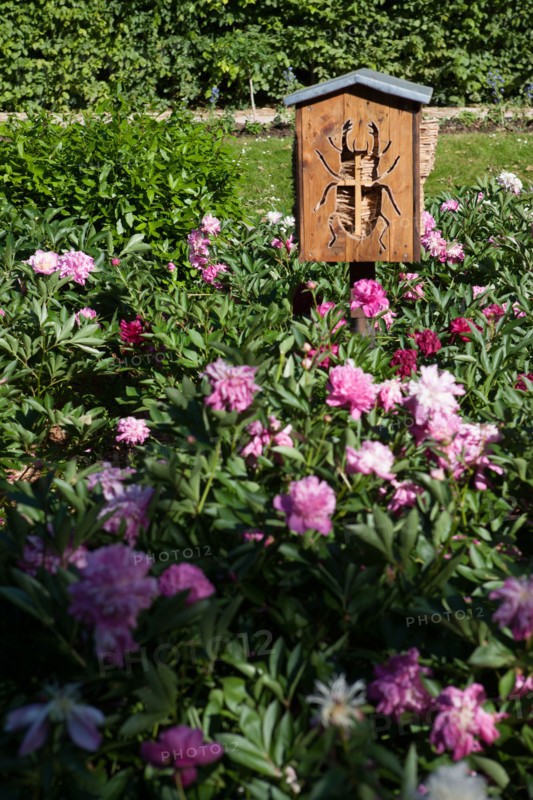 France, Région Ile de France, Paris 12e arrondissement, Parc de Bercy, massifs de fleurs et hôtel à  insectes,