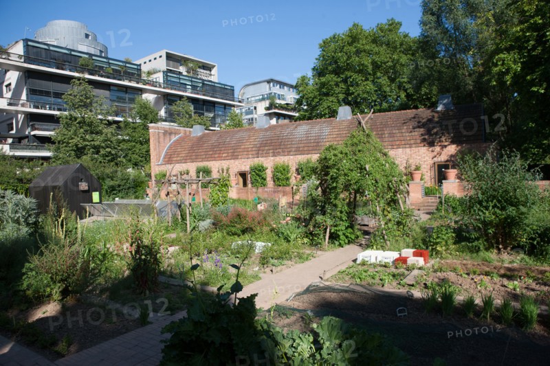 France, Région Ile de France, Paris 12e arrondissement, Parc de Bercy,