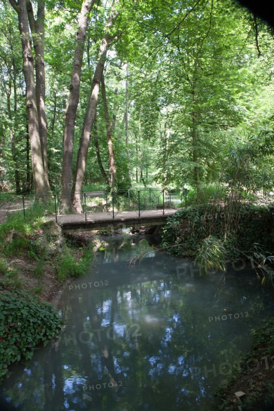 France, Région Ile de France, Paris 16e arrondissement, Bois de Boulogne, près de l'entrée du Pré Catelan, cours d'eau et rivière dans le bois,