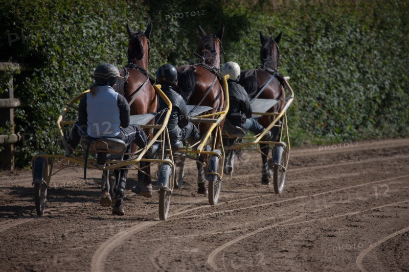Manche,  Haras de Bellevent