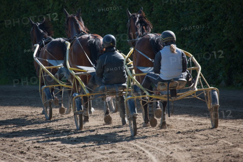 France, Région Basse Normandie, Manche, Haras de Bellevent, écurie Pierre Levesque, entraînement de trotteurs, Camille Levesque, piste,
