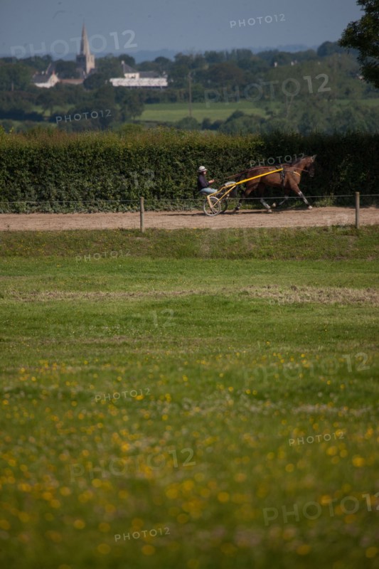 Manche,  Haras de Bellevent