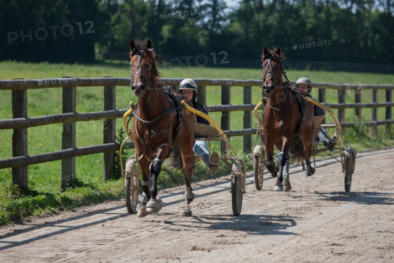France, Région Basse Normandie, Manche, Haras de Bellevent, écurie Pierre Levesque, entraînement de trotteurs, Camille Levesque, piste,