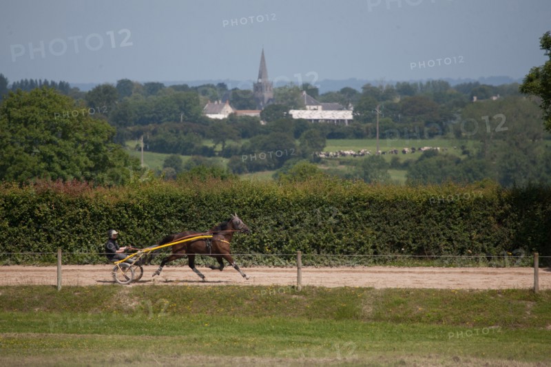 Manche,  Haras de Bellevent