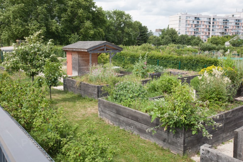 France, Région Ile de France, Seine Saint Denis, Bagnolet, Parc Départemental Jean Moulin, jardin potager