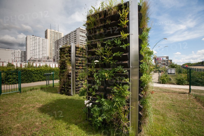 France, Région Ile de France, Seine Saint Denis, Bagnolet, Parc Départemental Jean Moulin, jardin potager