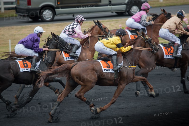 France, Région Ile de France, Val de Marne, hippodrome de Vincennes, Prix du Président de la République, Camille Levesque, trot monté,
