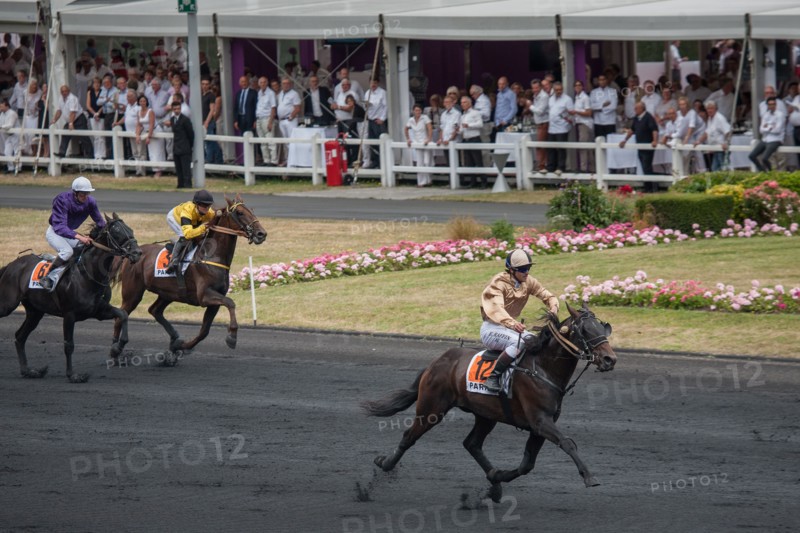 France, Région Ile de France, Val de Marne, hippodrome de Vincennes, Prix du Président de la République, Camille Levesque, trot monté,