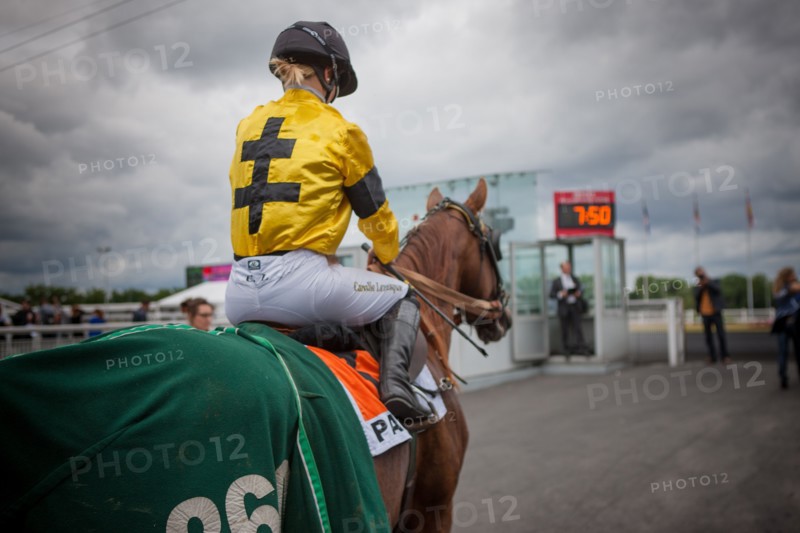 France, Région Ile de France, Val de Marne, hippodrome de Vincennes, Prix du Président de la République, Camille Levesque, trot monté,