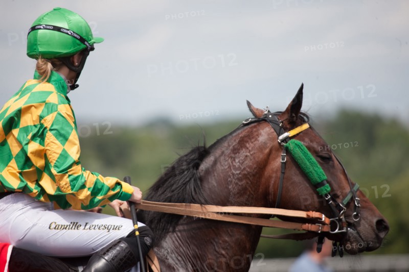 France, Région Ile de France, Val de Marne, hippodrome de Vincennes, Prix du Président de la République, Camille Levesque, trot monté,