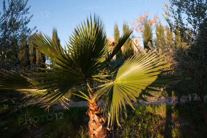 Marrakech,  Zaraba