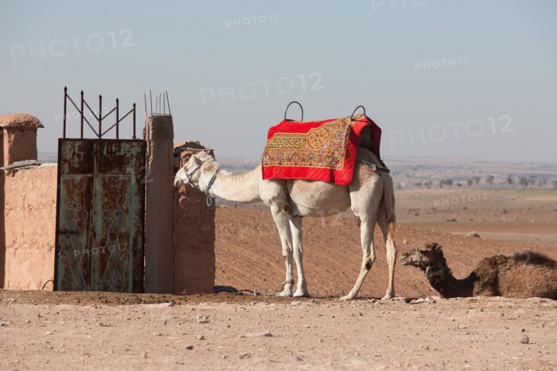 Marrakech,  pied du Haut Atlas
