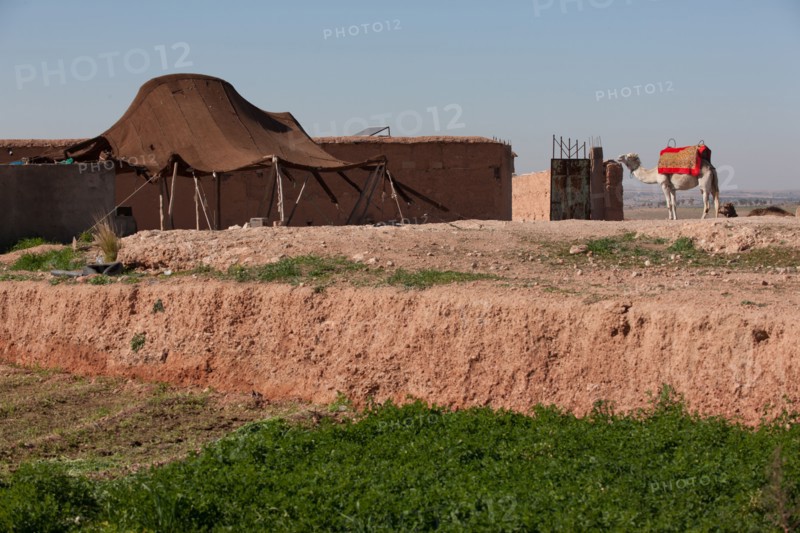 Marrakech,  pied du Haut Atlas