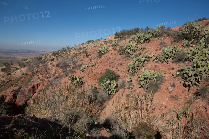 Afrique du nord, Maroc, Marrakech, pied du Haut Atlas, route d'Amizmiz, en direction de Sidi Brahim,